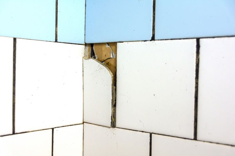 Repair of Damaged Tiles